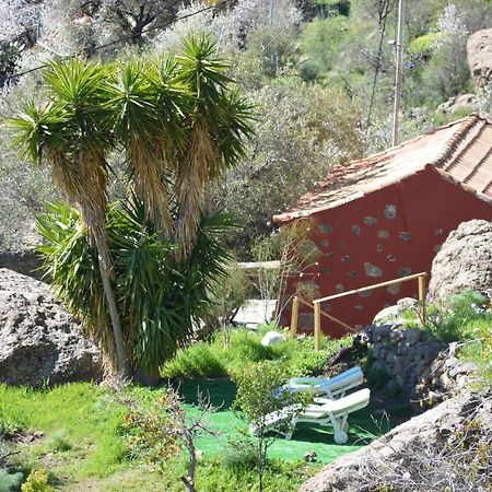 Casa Cueva El Pedregal Tejeda Villa Екстериор снимка