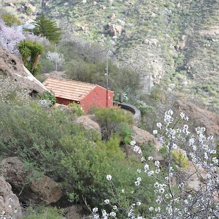 Casa Cueva El Pedregal Tejeda Villa Екстериор снимка