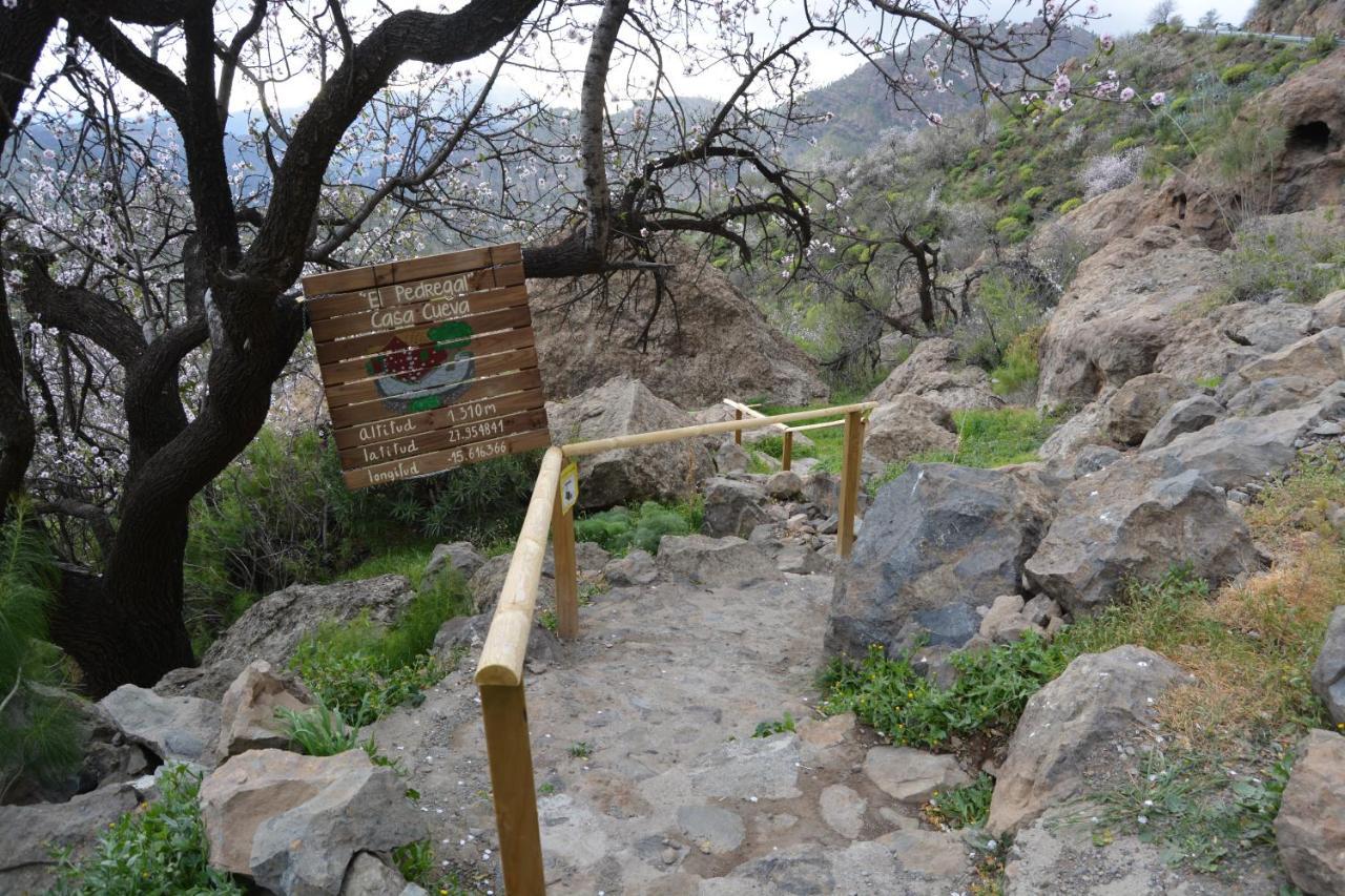 Casa Cueva El Pedregal Tejeda Villa Екстериор снимка