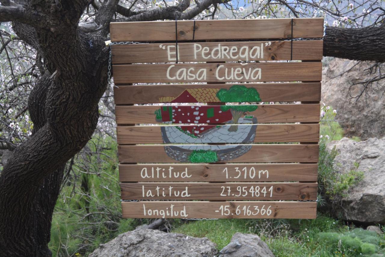 Casa Cueva El Pedregal Tejeda Villa Екстериор снимка
