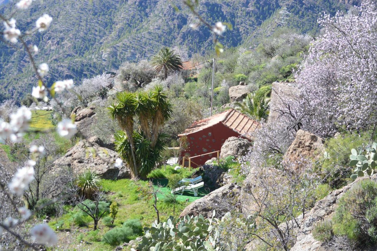 Casa Cueva El Pedregal Tejeda Villa Екстериор снимка