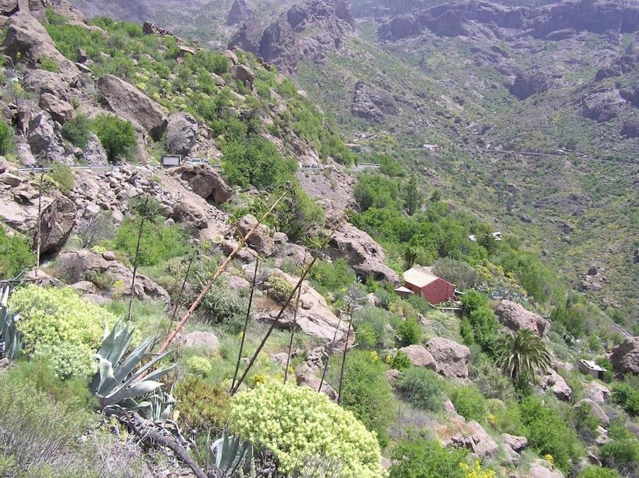 Casa Cueva El Pedregal Tejeda Villa Екстериор снимка