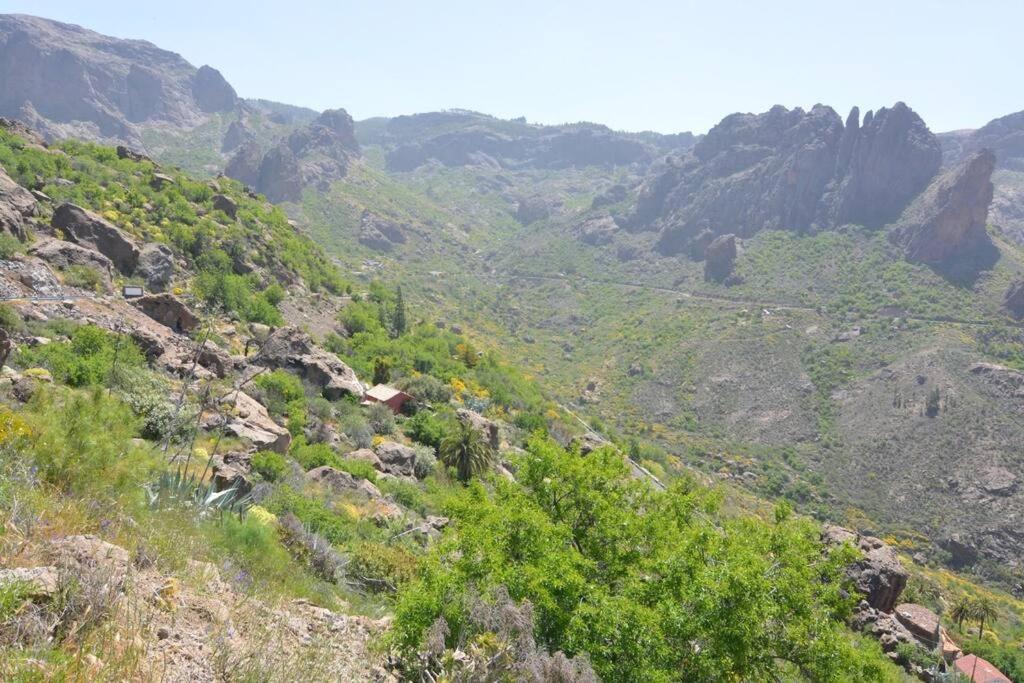Casa Cueva El Pedregal Tejeda Villa Екстериор снимка