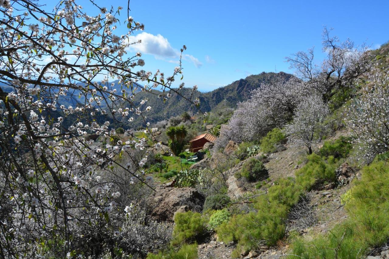 Casa Cueva El Pedregal Tejeda Villa Екстериор снимка