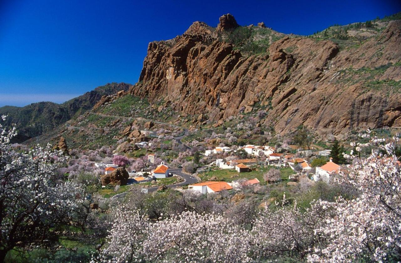 Casa Cueva El Pedregal Tejeda Villa Екстериор снимка