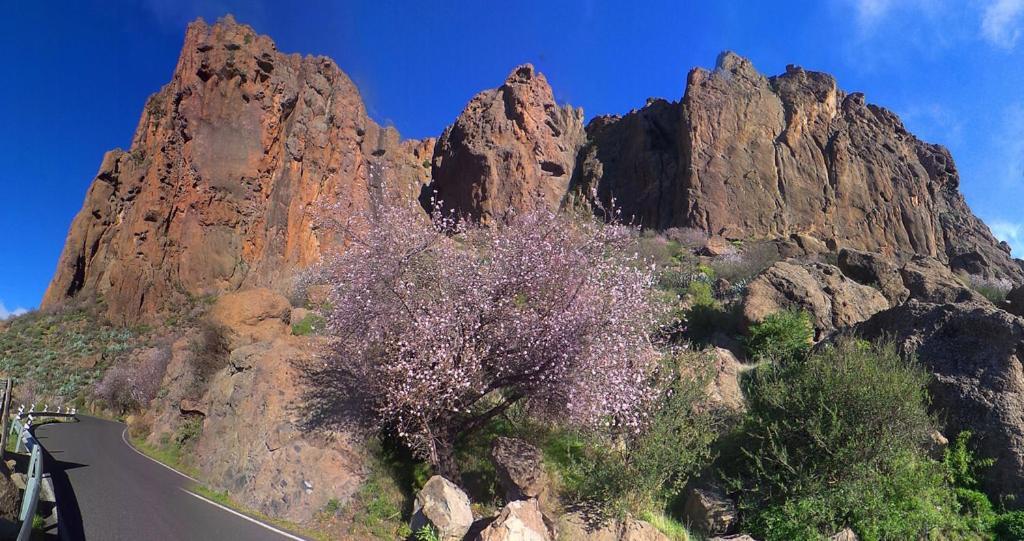 Casa Cueva El Pedregal Tejeda Villa Екстериор снимка